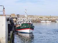 Bretagne 2007  Ile d'Hoedic - le port