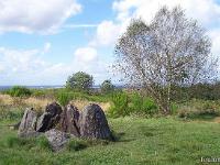 Bretagne 2007  Broceliandre - L'Hotie de Viviane