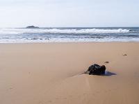 Bretagne 2007  Quiberon - Sur la côte sauvage 1/5