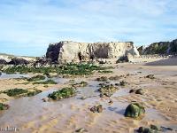 Bretagne 2007  Quiberon - Sur la côte sauvage 3/5