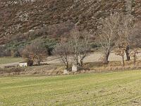 Cabanons  Le bastidon du poète sisteronais Paul arène aux Houlettes à Sisteron