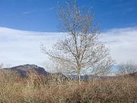 Cabanons  Bassin près du cabanon vu dans la précédente photo dans la vallée du Jabron près de Sisteron