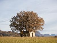 Cabanons  Cabanon dans la vallée du Jabron entre Sisteron et Bevons