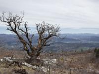 Cabanons  Cabanon en ruine au dessus du village de Peipin à l'adret de la montagne de Chapage