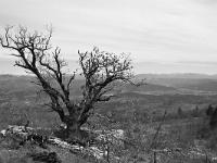 Cabanons  Cabanon en ruine au dessus du village de Peipin à l'adret de la montagne de Chapage