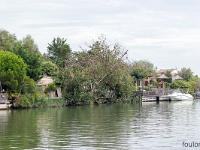 Camargue - Le Petit Rhône  Cabanons sur la rive gauche du Petit Rhône