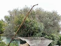 Camargue - Le Petit Rhône  Filet de pêche sur la rive gauche du Petit Rhône