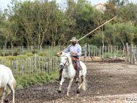 Camargue - Le Petit Rhône  Gardian sur son cheval camarguais