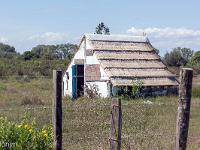 Camargue  Cabanon de gardian 2/3