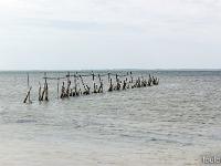 Camargue  Etang de Vaccarès