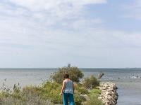 Camargue  Etang de Vaccarès