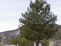 Chapelle Saint Laurent (XIIe) - Barret sur Méouge  Mur Sud du cimetière