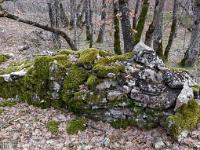 Chapelle Sainte Madeleine (XIIe)  Ruines du prieuré 2/2 - (Photo mars 2018)