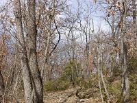 Chapelle Sainte Madeleine (XIIe)  Sentier près de la chapelle (photo mars 2018)