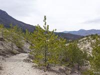 Chapelle Saint-Pons - XIIe  On chemine tout d'abord sur le GR6 sur environ 1,5 km et nous bifurquerons ensuite sur la droite à travers bois à l'ubac de Sumiou