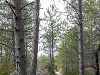 Chapelle Saint-Pons - XIIe  Vue sur le sentier 3/3