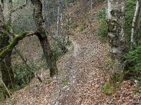 Chapelle Saint-Pons - XIIe  Vue sur le sentier et la forêt