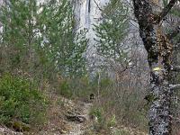 Chapelle Saint-Pons - XIIe  Nous nous approchons de la falaise