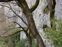 Chapelle Saint-Pons - XIIe  Arrivée au bord de la falaise