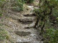 Chapelle Saint-Pons - XIIe  Il faut encore monter. Ici, quelques marches de pierre sur le sentier