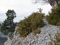 Chapelle Saint-Pons - XIIe  Nous nous dirigeons vers l'Ouest en longeant la falaise 4/4