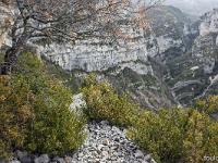 Chapelle Saint-Pons - XIIe  Le ravin du Grand Vallon