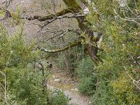 Chapelle Saint-Pons - XIIe  Nous reprenons le même sentier qu'à l'allée