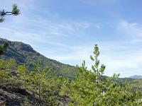 Chapelle Saint-Pons - XIIe  Le sentier