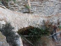Chapelle Saint-Pons - XIIe  Le petit pont permettant d'accèder à la chapelle 2/2