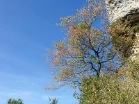 Chapelle Saint-Pons - XIIe