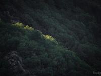 Chapelle Saint-Pons - XIIe  Jeu de lumière