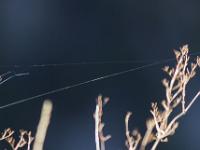 Chapelle Saint-Pons - XIIe  Tissage ...