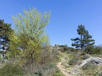 Sisteron : Collet - Virail - Marquise  Crête du Collet à l'Est de celui-ci ...