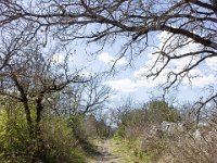 Sisteron : Collet - Virail - Marquise  Vue sur le sentier ...
