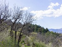 Sisteron : Collet - Virail - Marquise  Vue sur le sentier ...