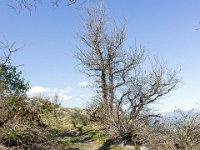 Sisteron : Collet - Virail - Marquise  Vue sur le sentier ...