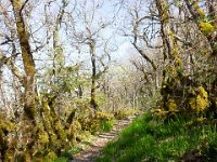 Sisteron : Collet - Virail - Marquise  Autre vue sur le sentier à l'ubac du Collet ...