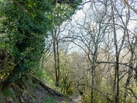 Sisteron : Collet - Virail - Marquise  Le sentier vers le Virail à l'Ouest du Collet ...