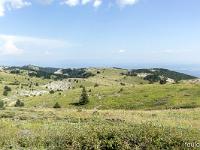 Sur les crêtes de Lure  Fin juillet 2024 - Adret des crêtes entre le Pas de la Graille et le Caïrn 2000 ...