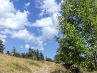 Sur les crêtes de Lure  Fin juillet 2024 - Le sentier ...