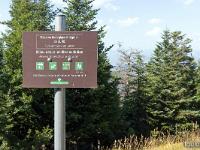 Sur les crêtes de Lure  Fin juillet 2024