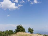 Sur les crêtes de Lure  Fin juillet 2024 - Sentier sur la crête ...