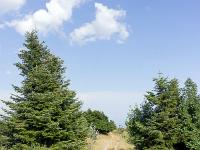 Sur les crêtes de Lure  Fin juillet 2024 - Le chemin qui longe la crête à l'Est du Pas de la Graille ...