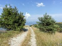 Sur les crêtes de Lure  Fin juillet 2024 - Le chemin qui longe la crête à l'Est du Pas de la Graille ...