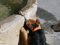 Fontaines, sources et lavoirs  A Savoillans (Vaucluse)