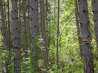 Gorges de la Méouge - Tour Pierre Grosse  Le sentier ...