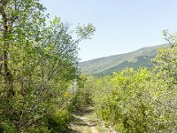 Gorges de la Méouge - Tour Pierre Grosse  Me voici presque arrivé à Pierre Grosse ...