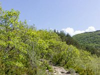 Gorges de la Méouge - Tour Pierre Grosse  Autre vue sur le sentier ...