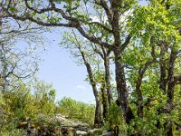 Gorges de la Méouge - Tour Pierre Grosse  Le sentier ...