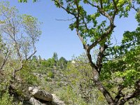 Gorges de la Méouge - Tour Pierre Grosse  Autre vue sur le sentier ...